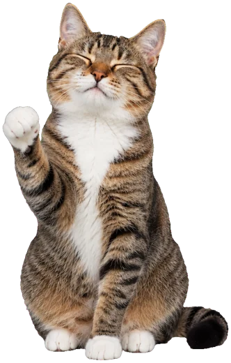 The cat sitting with one paw raised and its eyes happily closed.