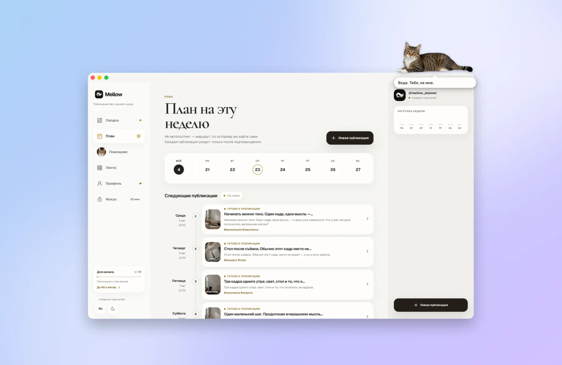 Кот на краю окна, под ним облачко с напоминанием попить воды.