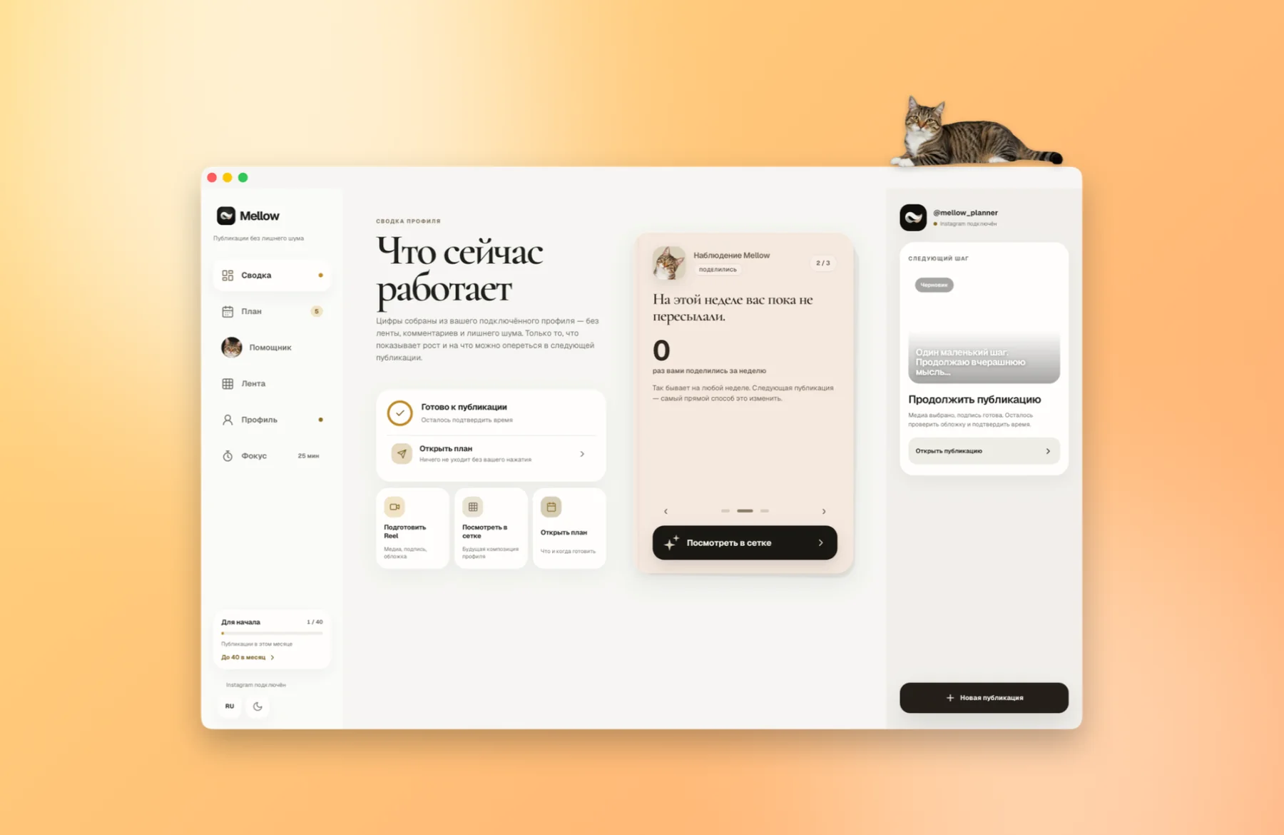Окно Mellow на рабочем столе Mac, на верхнем краю окна лежит полосатый кот.