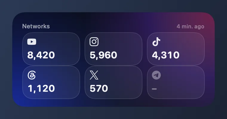 Das Widget „Netzwerke“ mit Beispielzahlen